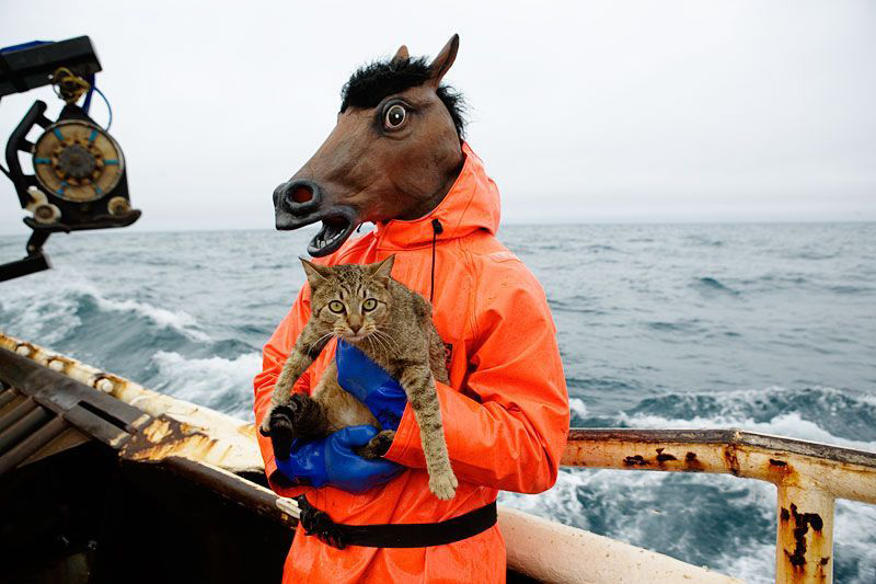 horse mask cat funny photo booth blog